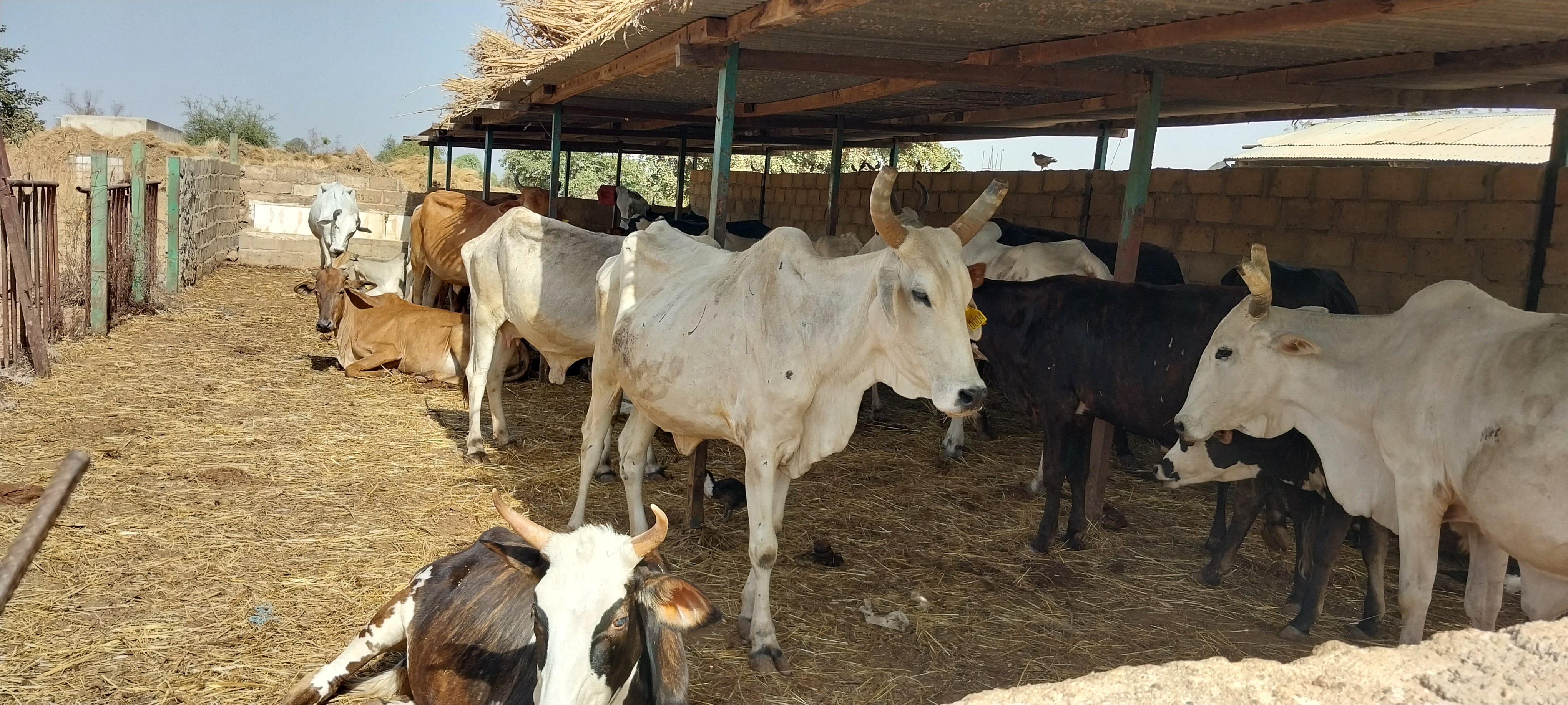 Ferme d'élevage